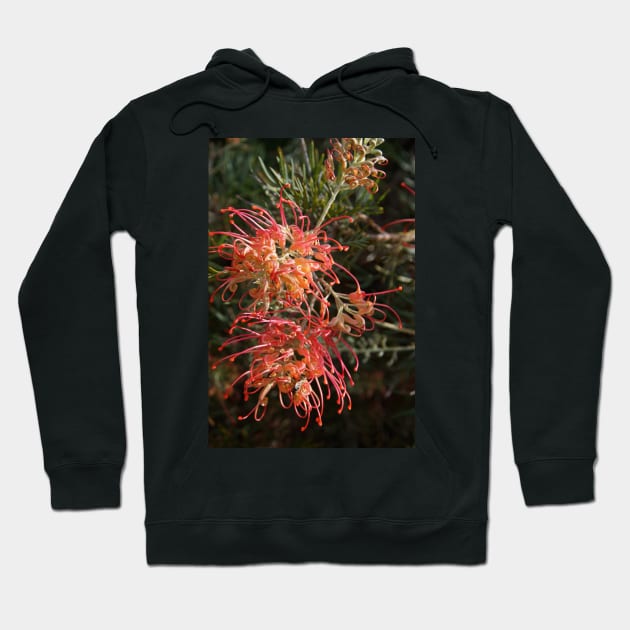 Grevillea - by Avril Thomas Hoodie by MagpieSprings